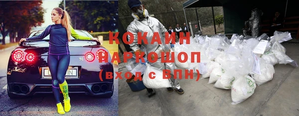 кокс Богородицк