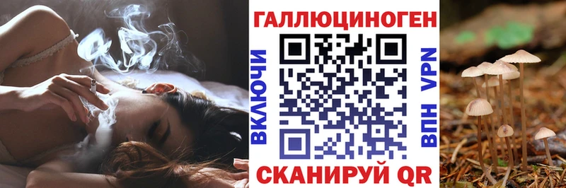 как найти наркотики Няндома дарк нет телеграм Псилоцибиновые грибы MAGIC MUSHROOMS
